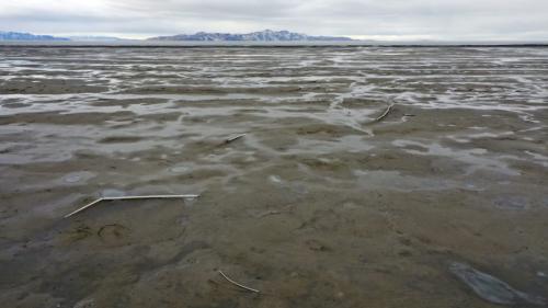Low water levels are pictured in the Great Salt Lake near Tooele County on Wednesday, Jan. 5, 2022. (Kristin Murphy/Deseret News)